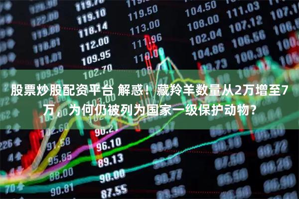 股票炒股配资平台 解惑！藏羚羊数量从2万增至7万，为何仍被列为国家一级保护动物？